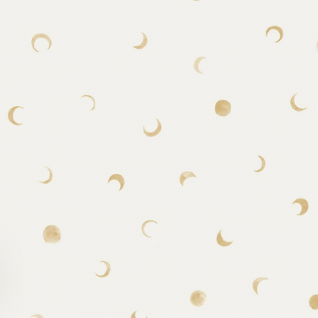 Jersey Moon