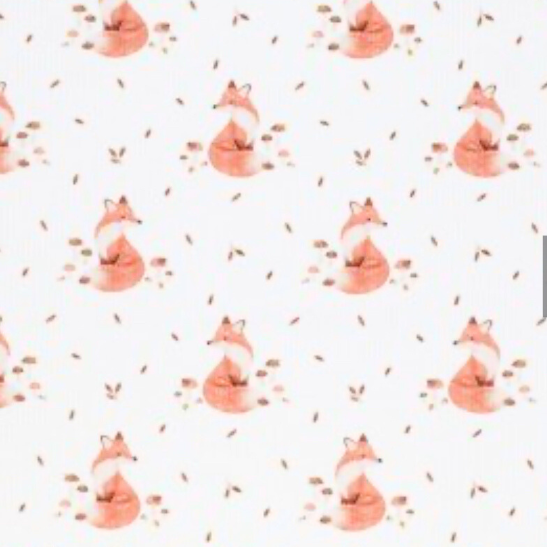 26 Fuchs