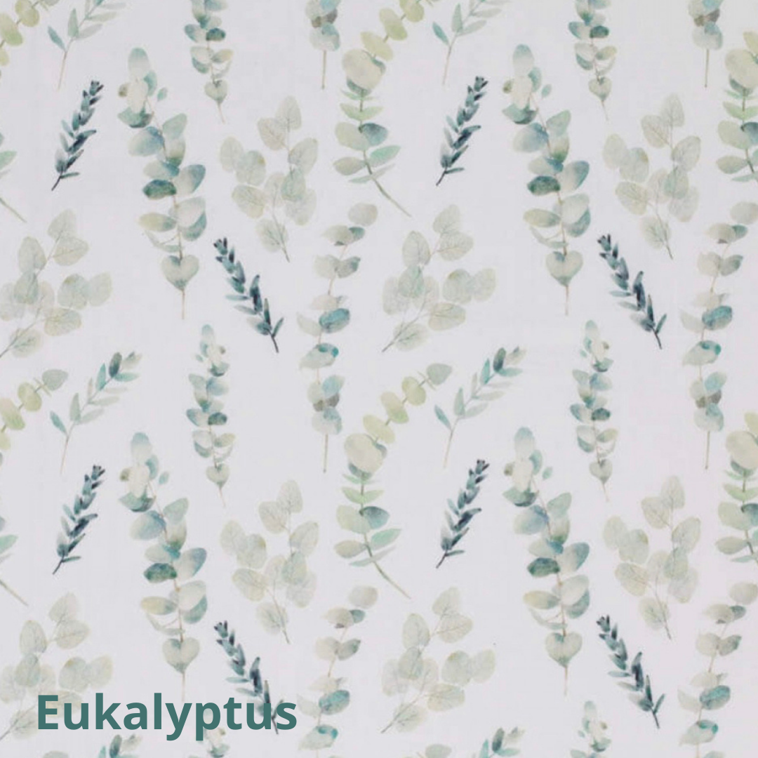 07 Eukalyptus