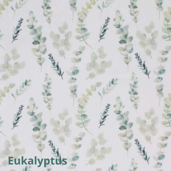 Eukalyptus