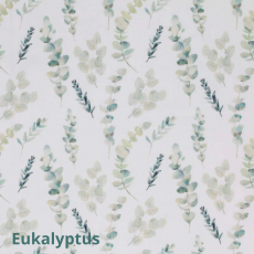 Eukalyptus