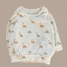 SOFORTKAUF Sweater Rib"Dino" I Gr.62/68