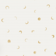 Jersey Moon